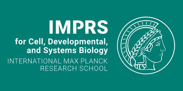 Logo of the IMPRS-CellDevoSys